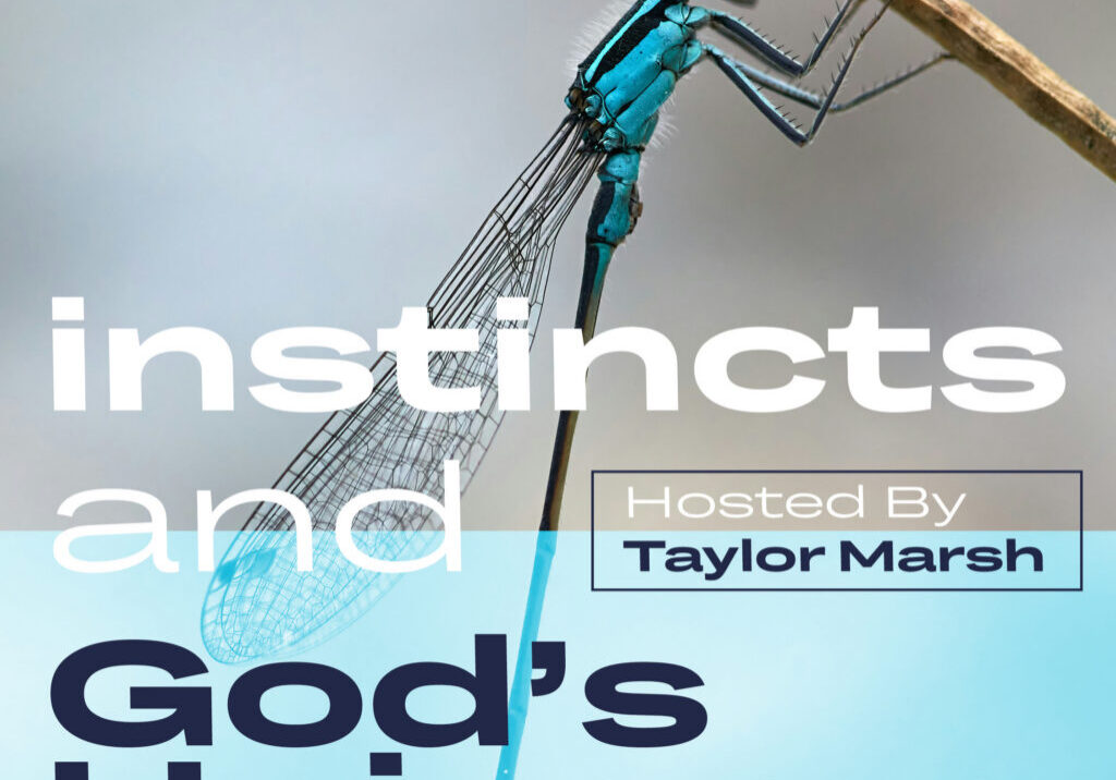 Taylor_Marsh_Social_Graphic_v12(1)